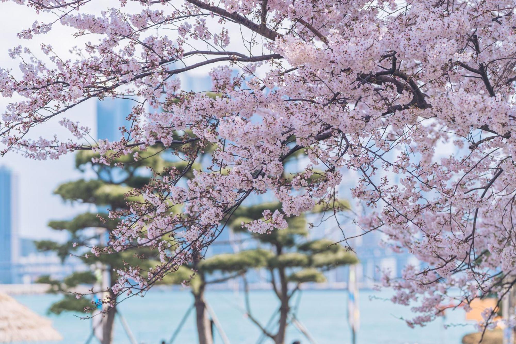 Kent Hotel Gwangalli By Kensington Busan Buitenkant foto